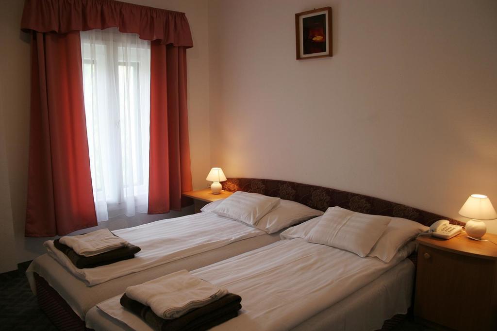 Bed and Breakfast Sebesvi­z Panzió Repashuta Exterior foto